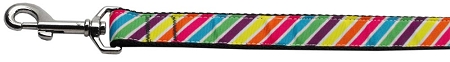 Striped Rainbow Nylon Dog Leash 3/8 inch wide 6ft Long