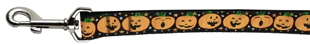 Pumpkins Nylon Ribbon Pet Leash 1 wide 6ft