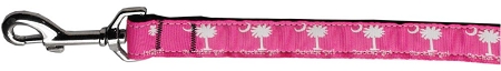 Carolina Girl Nylon Ribbon Dog Collars 1 wide 6ft Leash