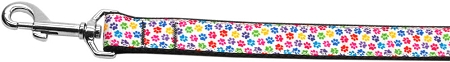 Confetti Paws Nylon Dog Leash 5/8 inch wide 4ft Long