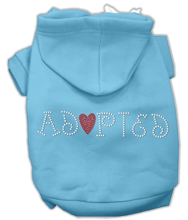 Adopted Hoodie Baby Blue L