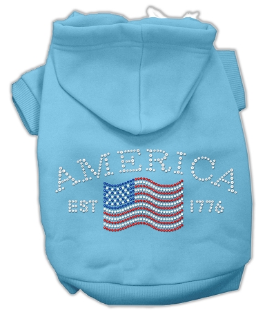 Classic American Hoodies Baby Blue L