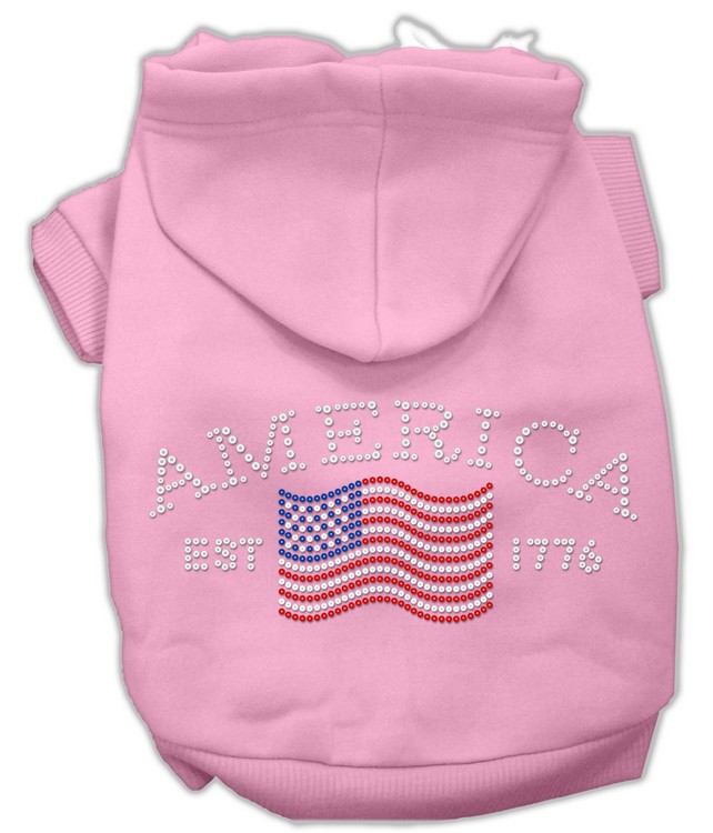 Classic American Hoodies Pink L