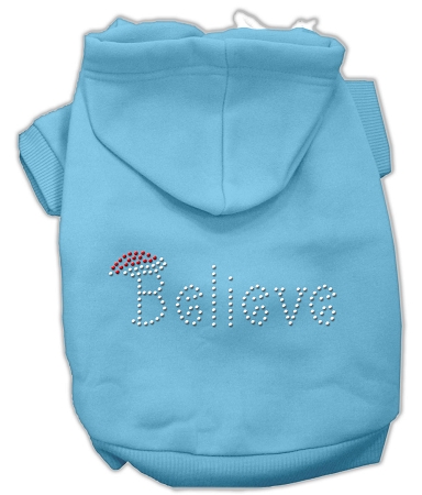 Believe Hoodies Baby Blue XXL