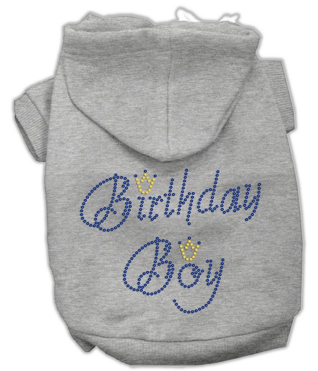 Birthday Boy Hoodies Grey L