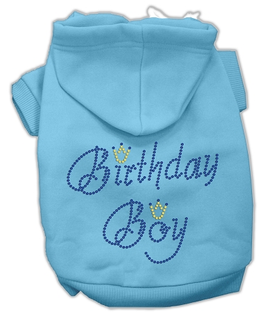 Birthday Boy Hoodies Baby Blue L