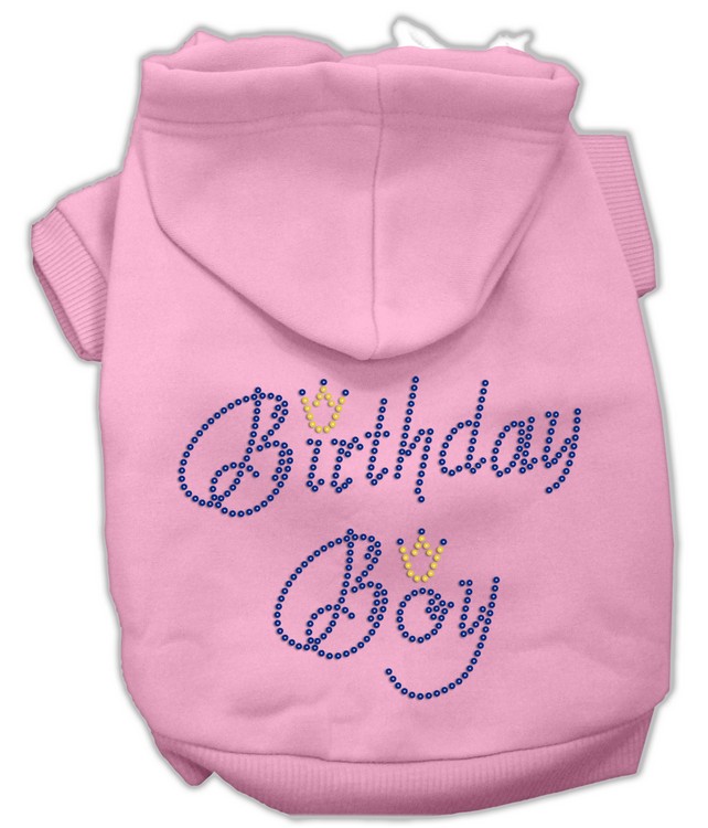 Birthday Boy Hoodies Pink L
