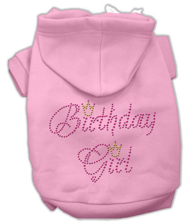 Birthday Girl Hoodies Pink L