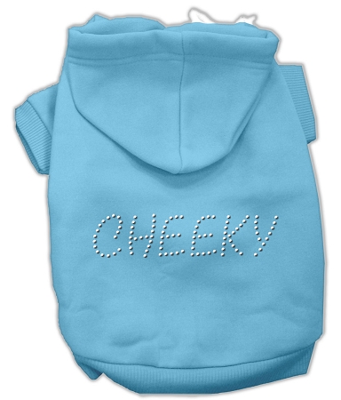 Cheeky Hoodies Baby Blue L