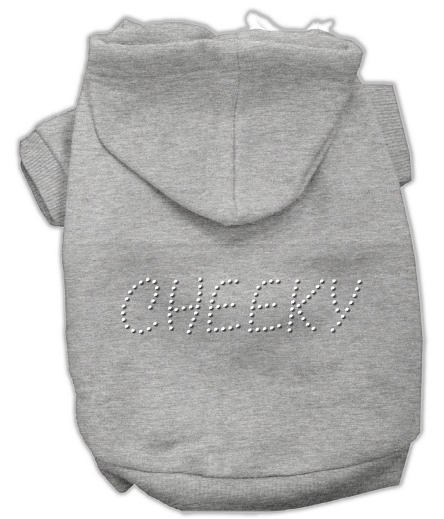 Cheeky Hoodies Grey S