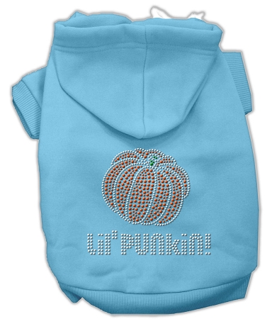 Lil' Punkin' Hoodies Baby Blue M