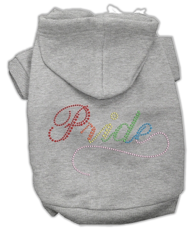 Rainbow Colored Pride Hoodies Grey XS