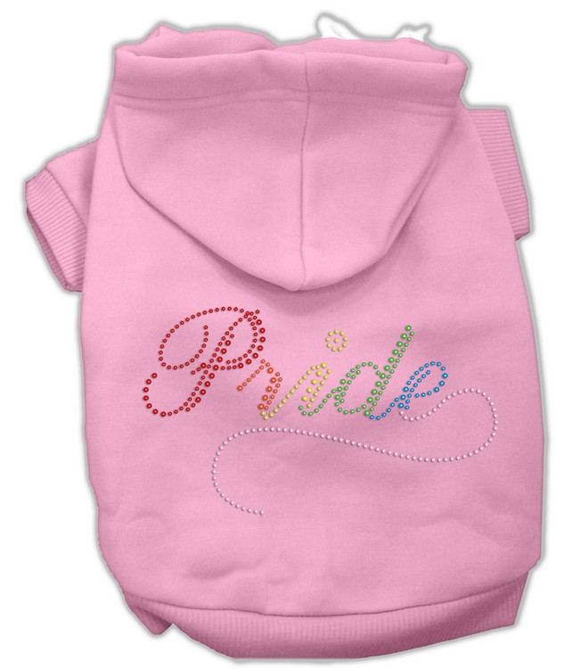 Rainbow Colored Pride Hoodies Pink XS