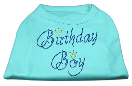 Birthday Boy Rhinestone Shirts Aqua XS