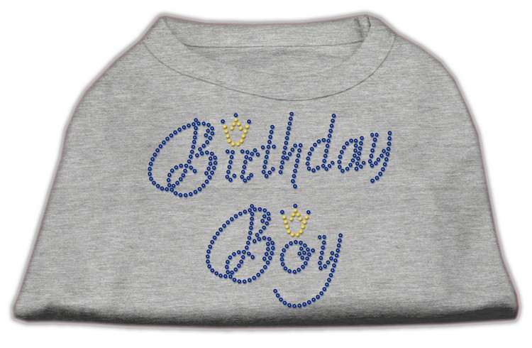 Birthday Boy Rhinestone Shirts Grey XS