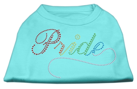 Rainbow Pride Rhinestone Shirts Aqua XS