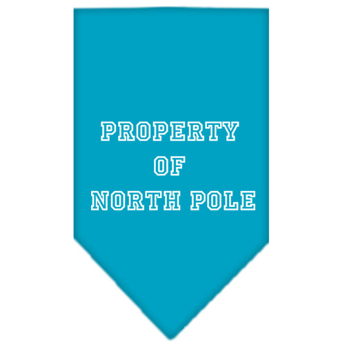 Property of North Pole Screen Print Bandana Turquoise Small