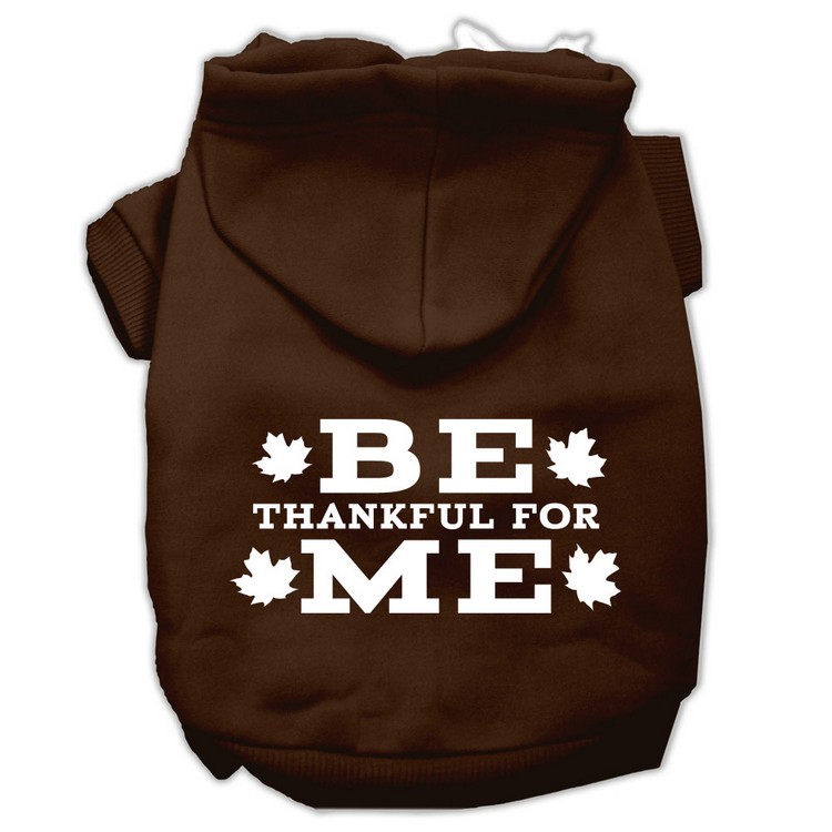 Be Thankful for Me Screen Print Pet Hoodies Brown Size Lg