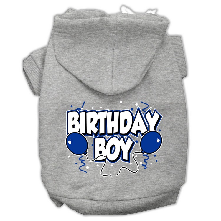 Birthday Boy Screen Print Pet Hoodies Grey Size Lg