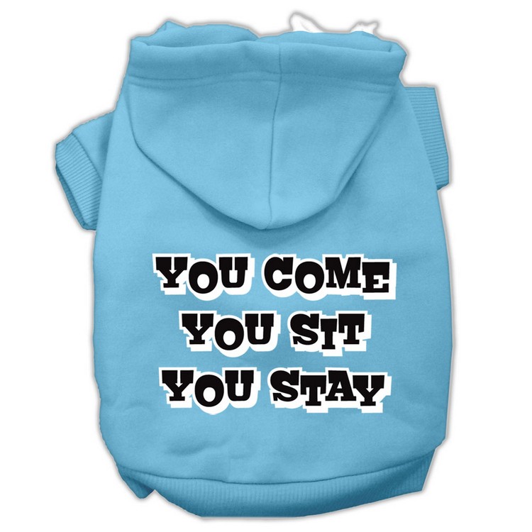 You Come, You Sit, You Stay Screen Print Pet Hoodies Baby Blue Size Med