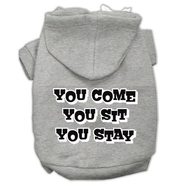 You Come, You Sit, You Stay Screen Print Pet Hoodies Grey Size XL