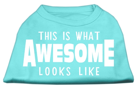 This is What Awesome Looks Like Dog Shirt Aqua Lg