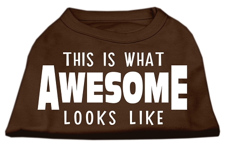 This is What Awesome Looks Like Dog Shirt Brown XL