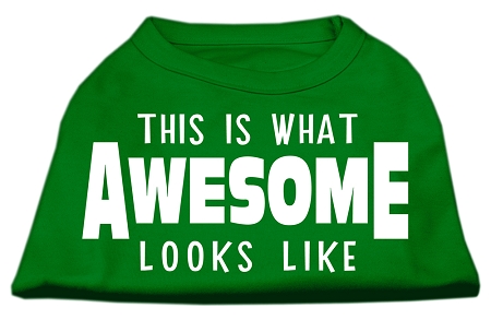 This is What Awesome Looks Like Dog Shirt Emerald Green XXL