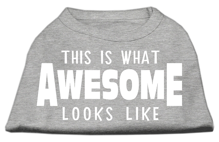 This is What Awesome Looks Like Dog Shirt Grey Med