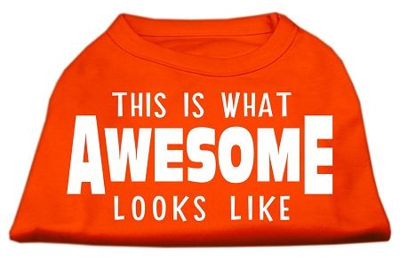 This is What Awesome Looks Like Dog Shirt Orange XS