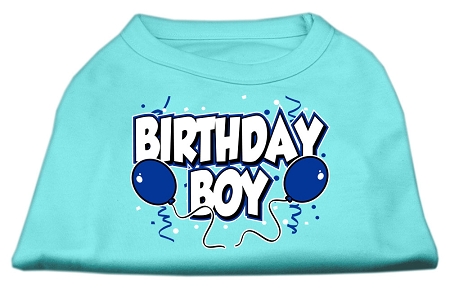 Birthday Boy Screen Print Shirts Aqua XS