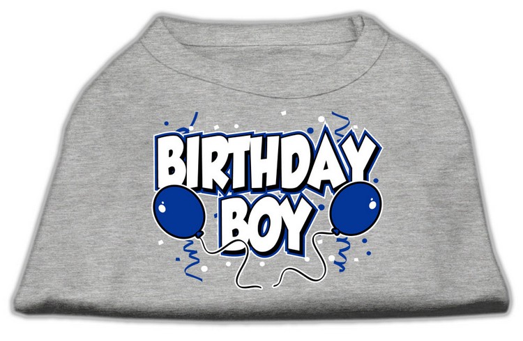 Birthday Boy Screen Print Shirts Grey XS