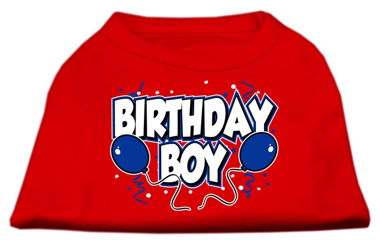 Birthday Boy Screen Print Shirts Red Lg