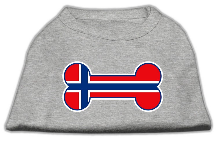 Bone Shaped Norway Flag Screen Print Shirts Grey XS