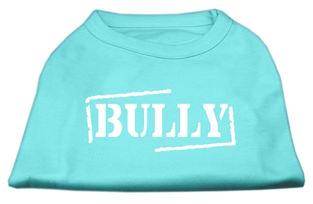 Bully Screen Printed Shirt Aqua XXL