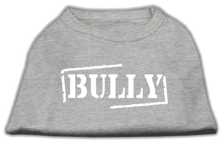 Bully Screen Printed Shirt Grey Sm