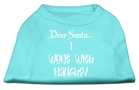 Dear Santa I Went with Naughty Screen Print Shirts Aqua XXL