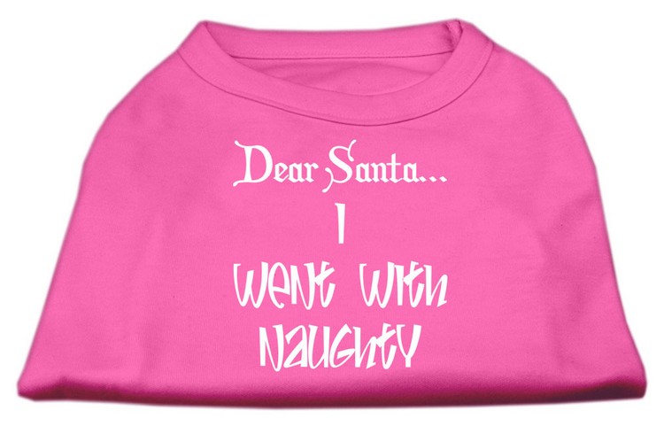 Dear Santa I Went with Naughty Screen Print Shirts Bright Pink XS