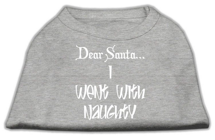 Dear Santa I Went with Naughty Screen Print Shirts Grey Lg