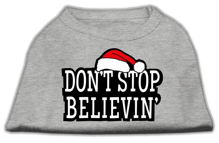 Don't Stop Believin' Screenprint Shirts Grey XXL