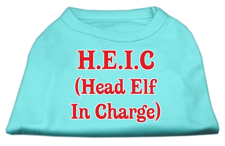 Head Elf In Charge Screen Print Shirt Aqua XXL