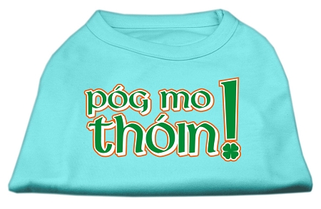 Pog Mo Thoin Screen Print Shirt Aqua Sm