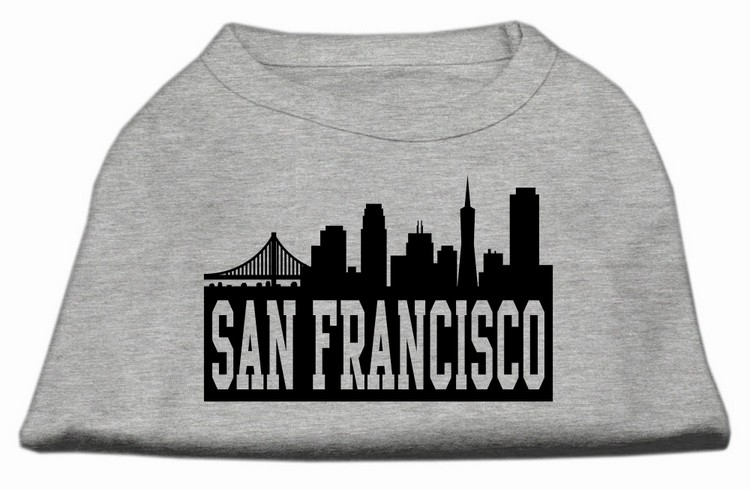 San Francisco Skyline Screen Print Shirt Grey XS