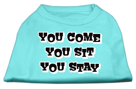 You Come, You Sit, You Stay Screen Print Shirts Aqua XL