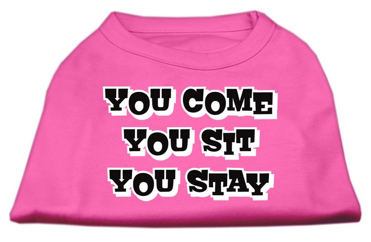 You Come, You Sit, You Stay Screen Print Shirts Bright Pink L