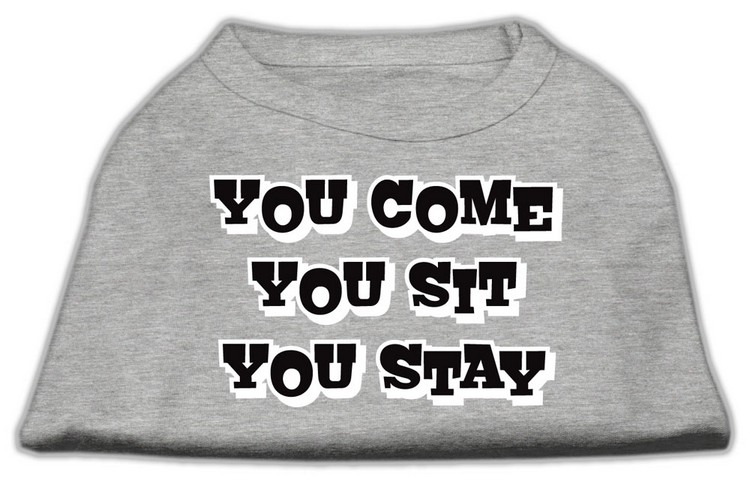 You Come, You Sit, You Stay Screen Print Shirts Grey XXXL