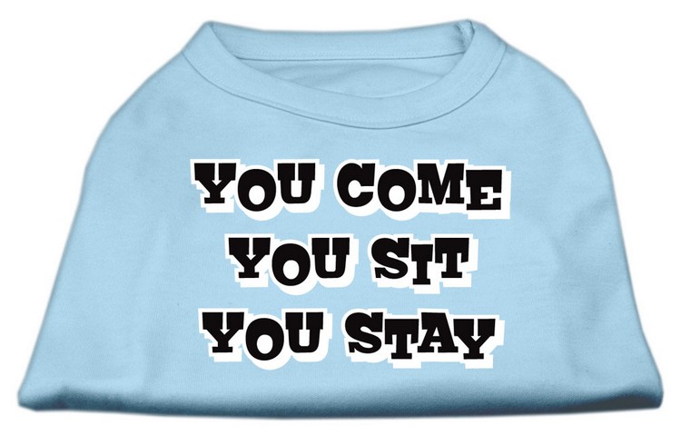 You Come, You Sit, You Stay Screen Print Shirts Baby Blue M