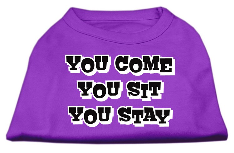 You Come, You Sit, You Stay Screen Print Shirts Purple XXXL