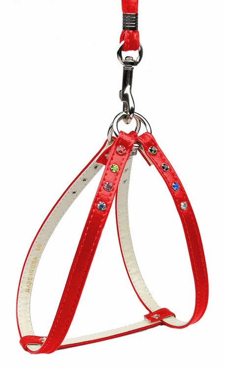 Confetti Step In Harness Red 20