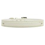 3/8" (10mm) Faux Croc Two Tier Dog Collar 5 Colors